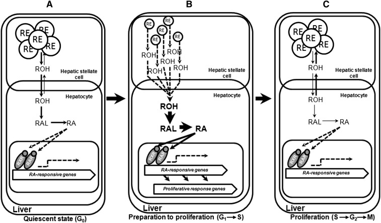 Fig. 9.