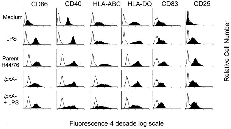 FIG. 1