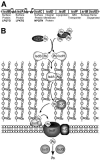 FIG. 6.