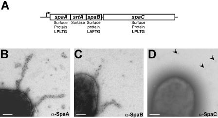 FIG. 9.