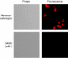FIG. 2.