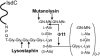 FIG. 7.