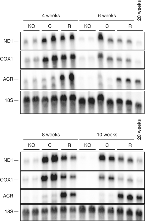 Figure 7.