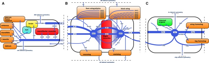 Figure 6