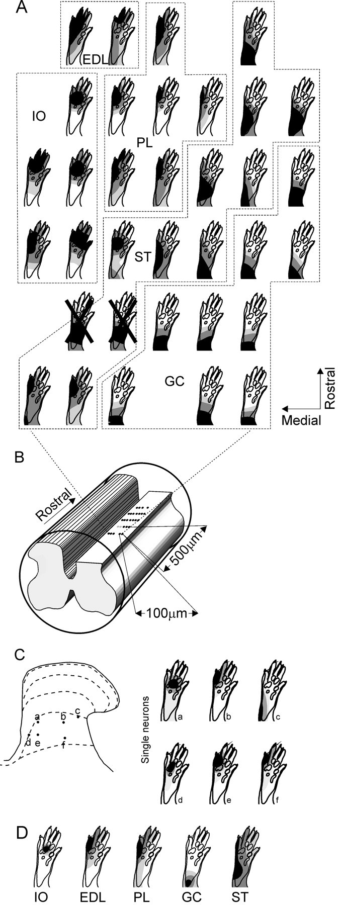 Fig. 8.