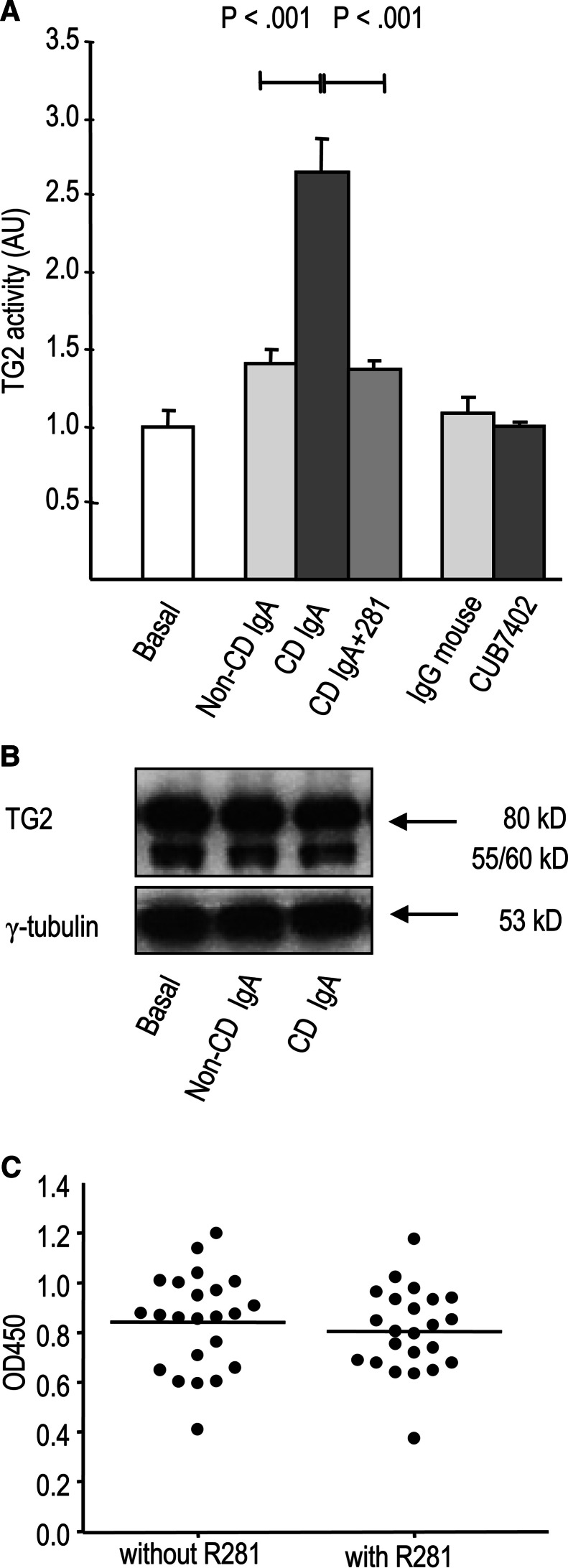 Fig. 4