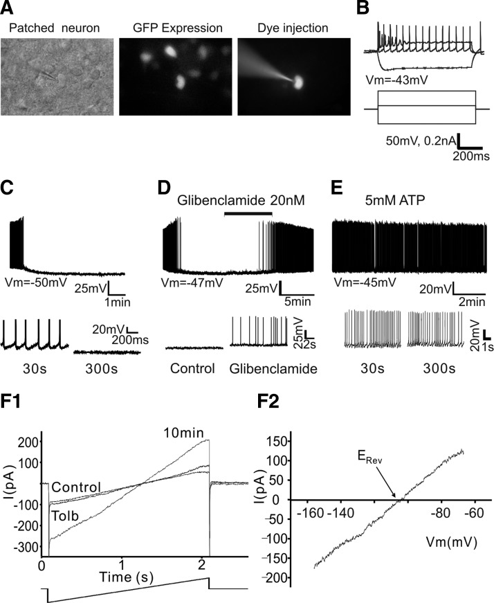 FIG. 1.