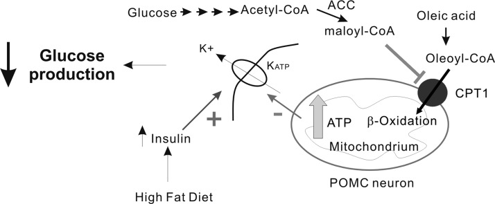 FIG. 8.