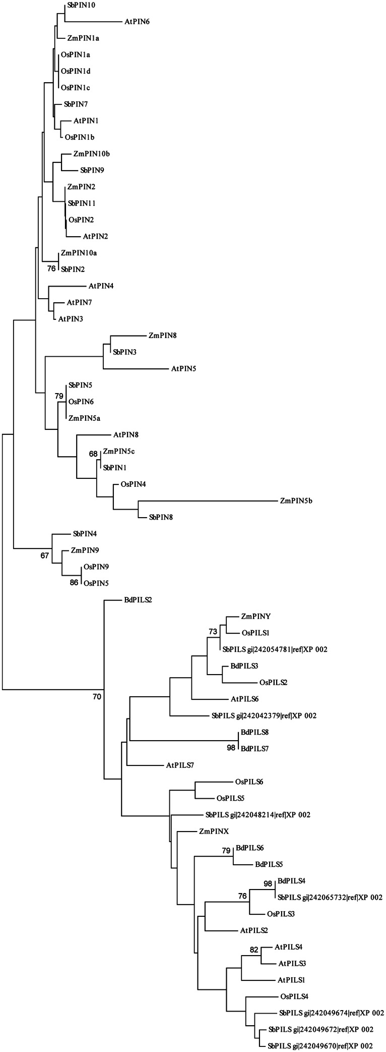 FIGURE 3