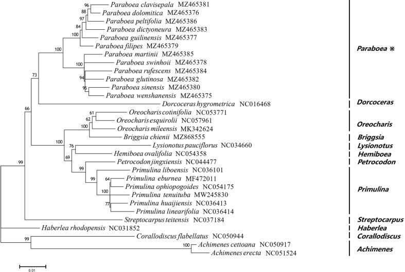 Figure 6