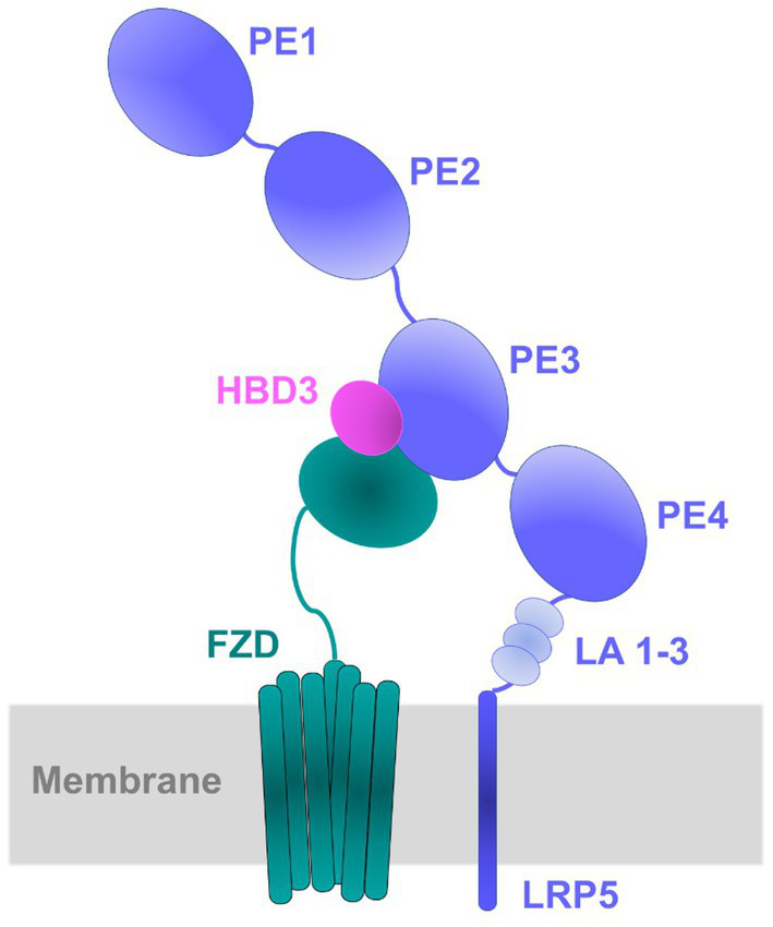 Figure 10