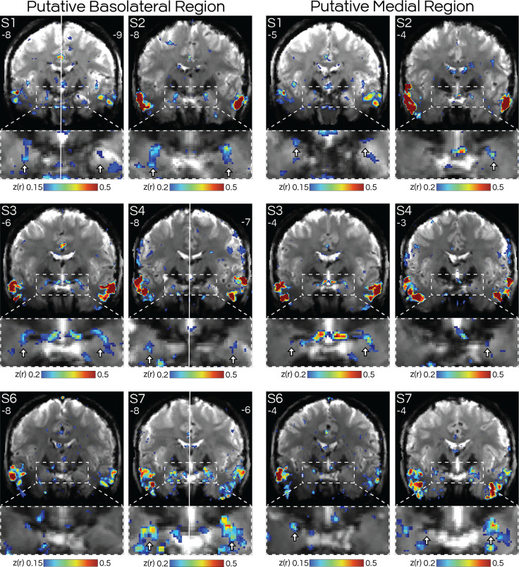 Figure 4: