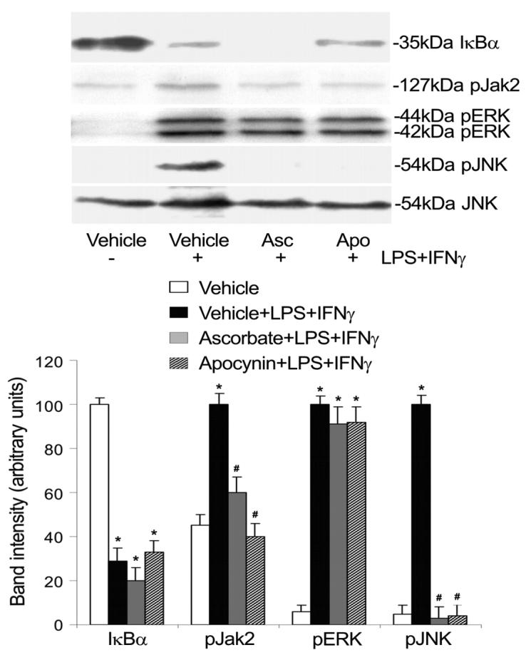 Fig. 5