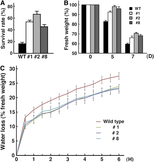 Figure 6.