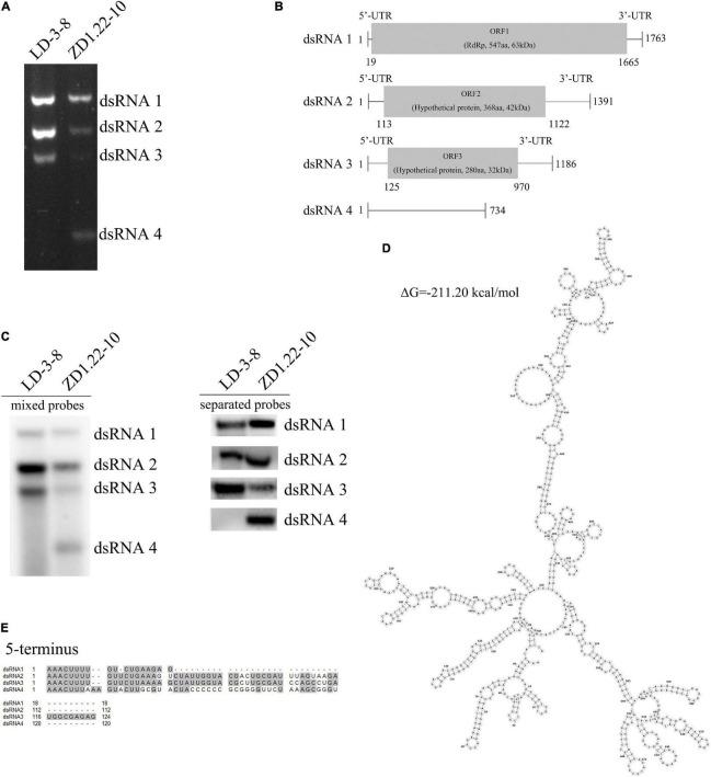 FIGURE 1