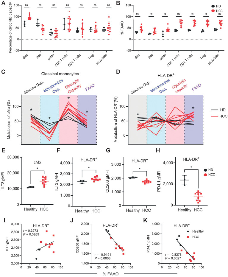 Figure 7. HCC patient monocytes and DCs have a dysregulated immunometabolism. PBMCs were isolated from patients with hepatocellular carcinoma (HCC) for SCENITH analysis. Shown are the percentages of glycolytic capacity (A) and % FAAO (B) in multiple immune cell subsets (A and B). The total SCENITH metabolic profiles are shown for classic monocytes (C) and HLA-DR+ cells (D), with healthy donors (HD, in black) and HCC (in red), statistically significant differences are indicated with an asterisk. Levels of ILT3 are indicated on classical monocytes (cMo, E) and HLA-DR-positive cells (F). In addition, shown are CD206 and PD-L1 expression levels on HLA-DR+ cells (G and H). Correlations between ILT3 (I), CD206 (J), and PD-L1 (K) are shown with %FAAO in healthy donors (black circles) and patients with HCC (red squares). Data are presentative from 3 healthy donors and 8 patients with HCC.