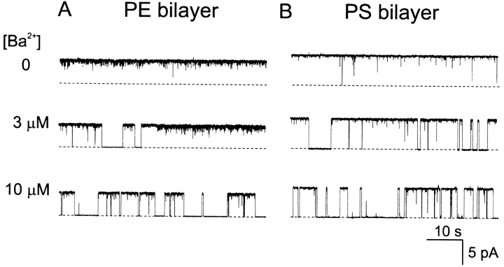 Figure 10. 