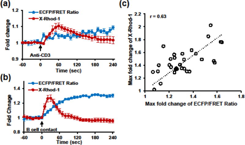 FIGURE 4