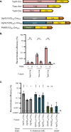 FIG 3