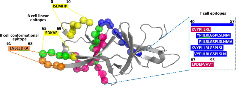 Figure 3