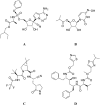 Fig. 1