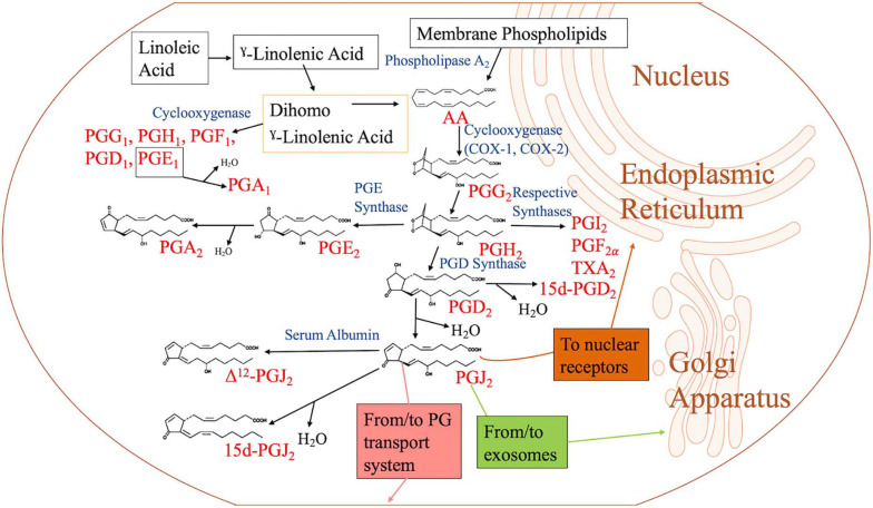 FIGURE 1