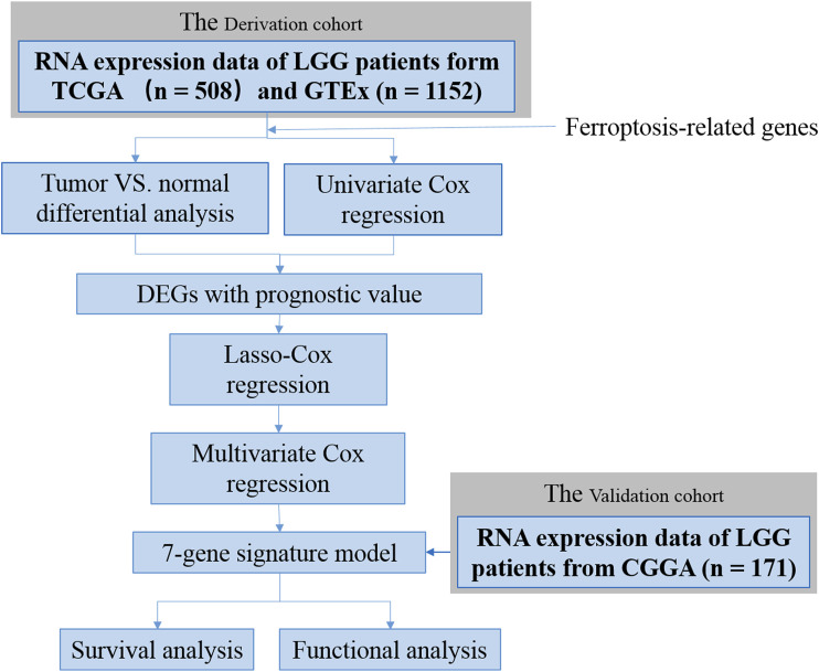 FIGURE 1