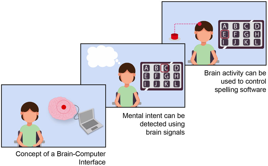 Figure 1 –