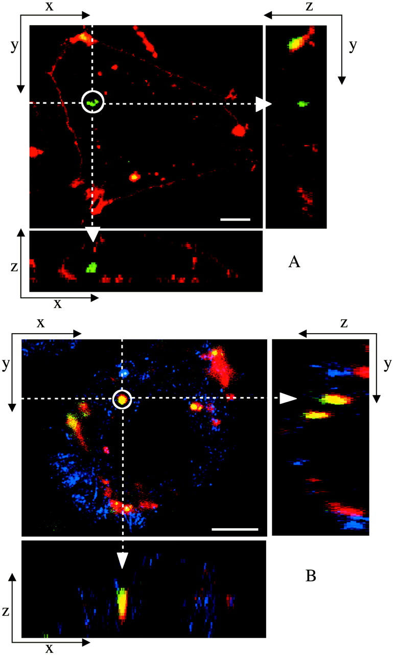 FIGURE 3