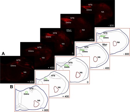 Fig. 5.