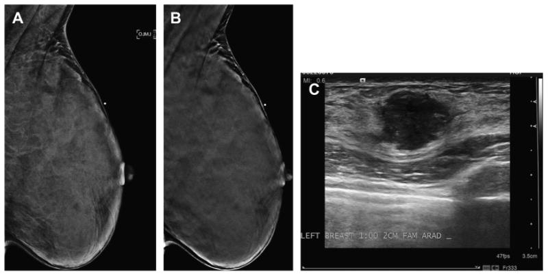 Fig. 5