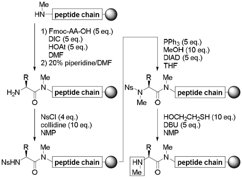 Scheme 2