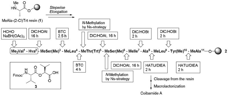 Scheme 1