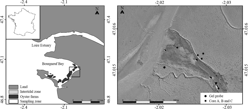 Fig. 1