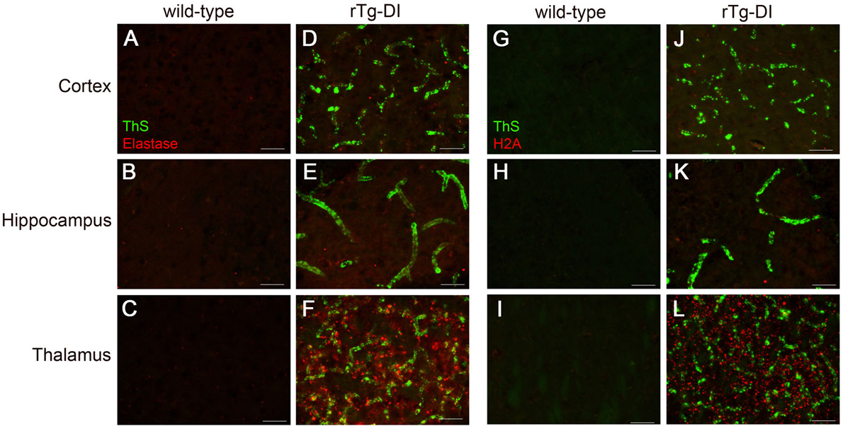 Figure 7.