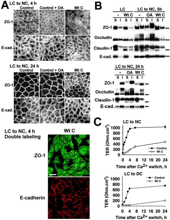 Figure 6.