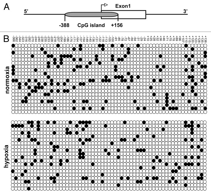 graphic file with name epi-9-600-g2.jpg