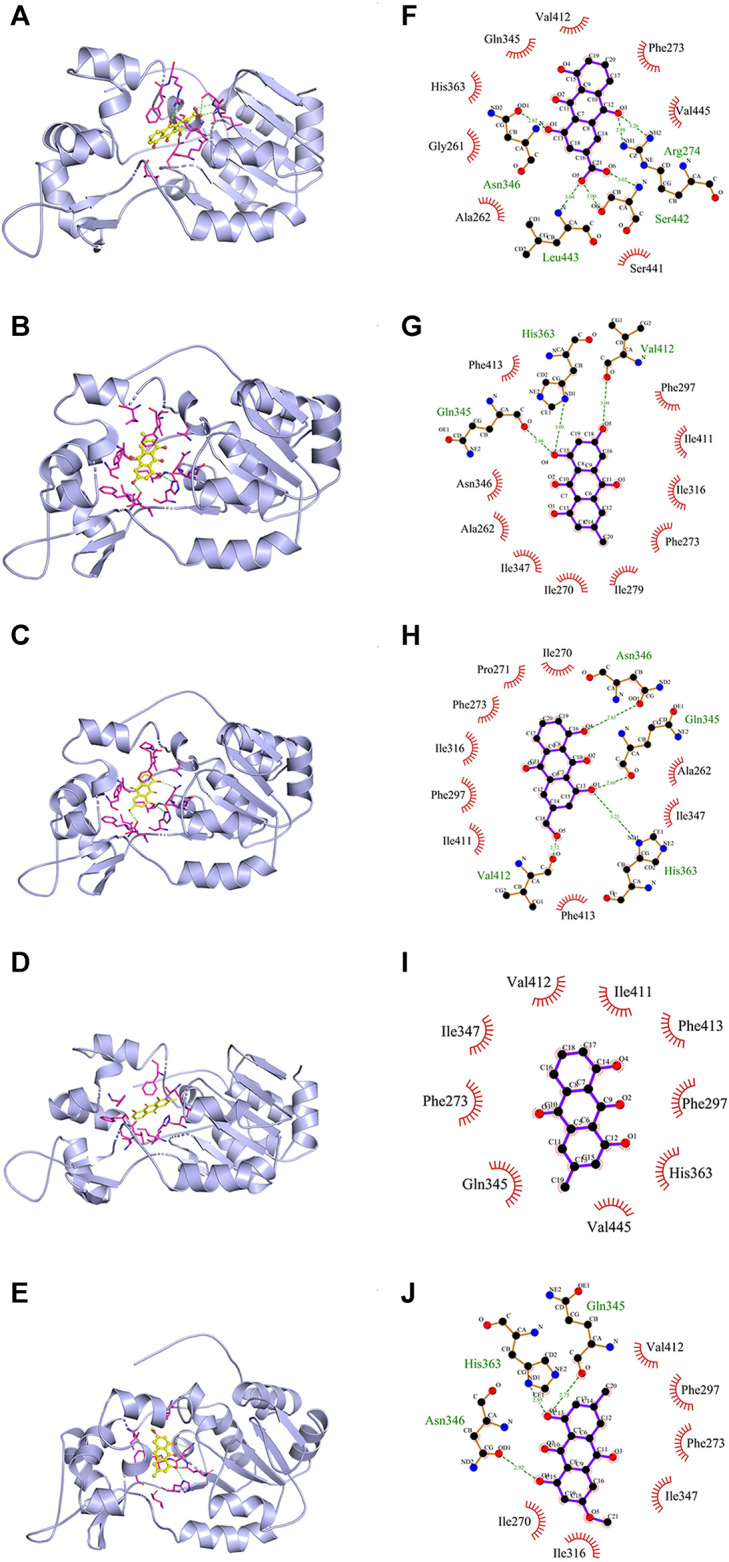 FIGURE 4