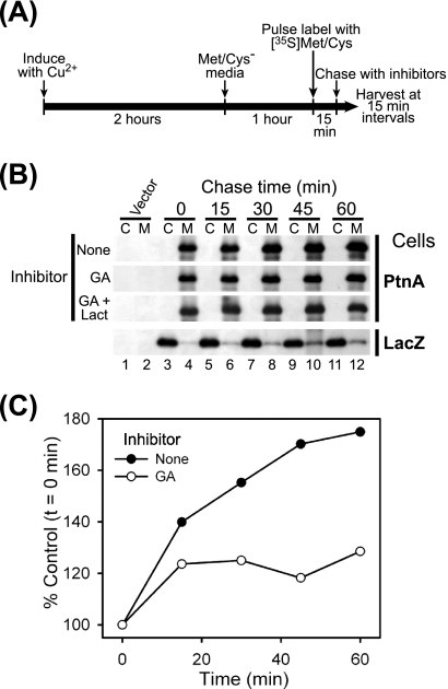 FIG. 6.