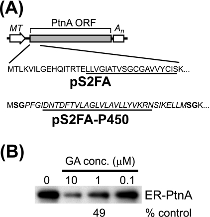 FIG. 7.