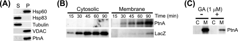 FIG. 5.