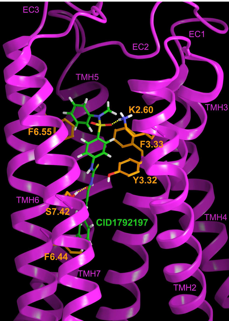 Figure 7