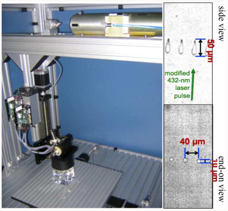 Fig. 31