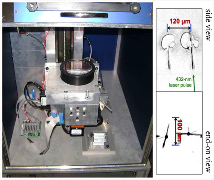 Fig. 2