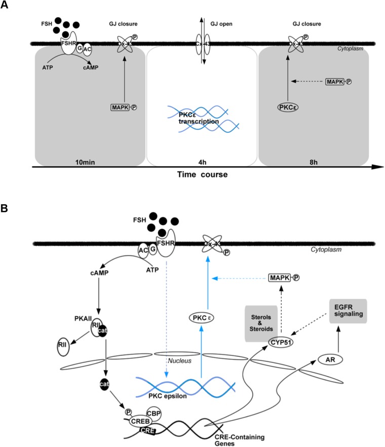 Fig. 8.