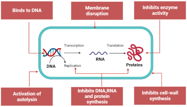 Figure 4