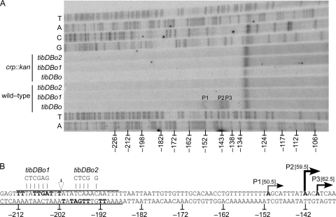 FIG. 6.