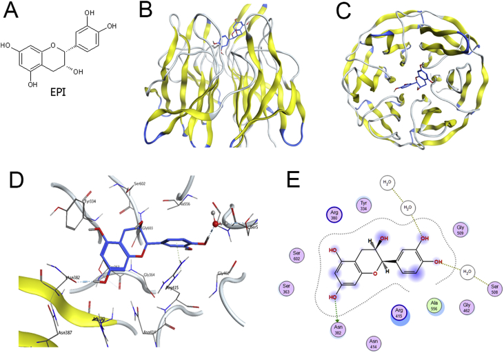 Fig. 4