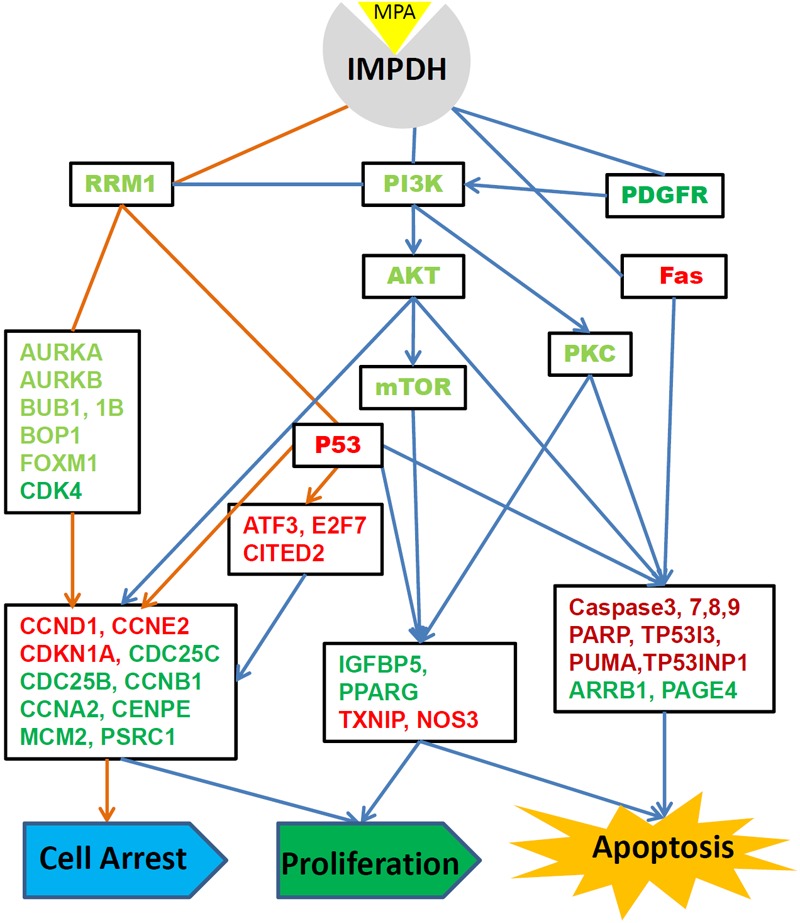 Figure 6