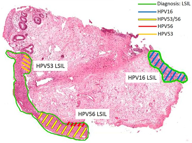 Figure 6